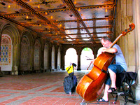 Cello in Central Park, NYC