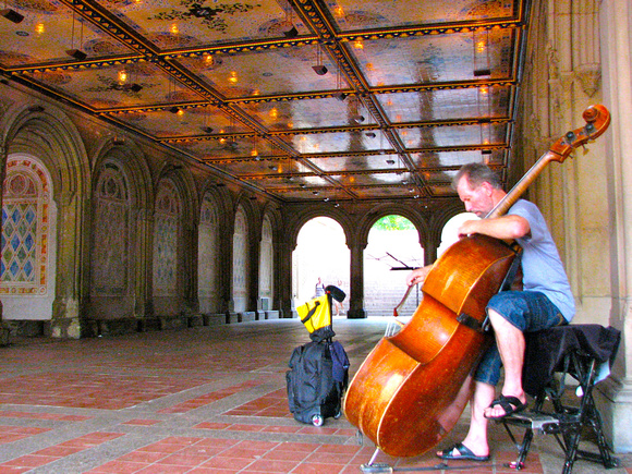 Cello in Central Park, NYC
